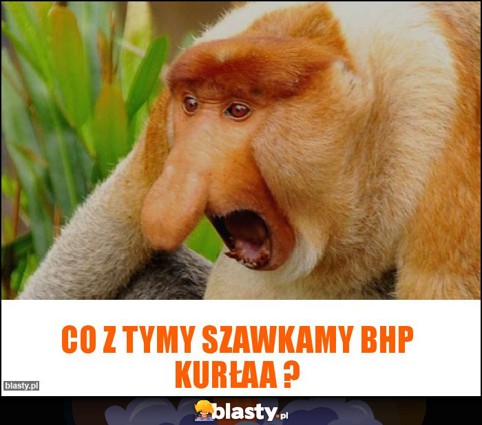 Co z tymy szawkamy BHP kurłaa ?