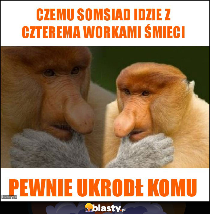 czemu somsiad idzie z czterema workami śmieci