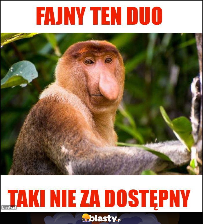 Fajny ten Duo