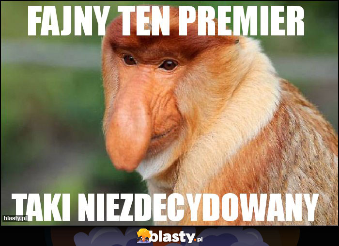 FAJNY TEN PREMIER