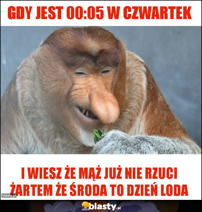 Gdy jest 00:05 w czwartek