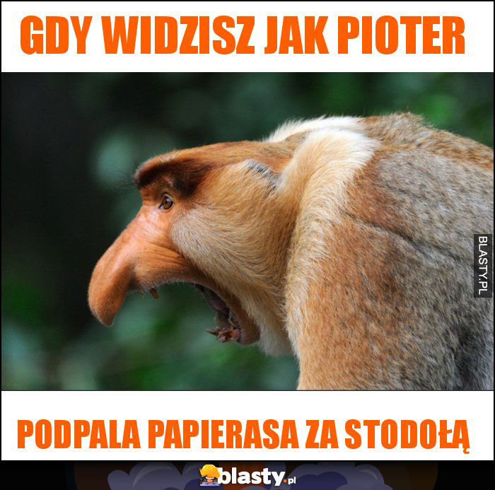 gdy widzisz jak pioter