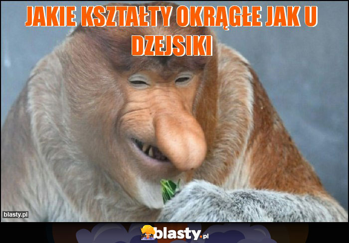 jakie kształty okrągłe jak u dzejsiki