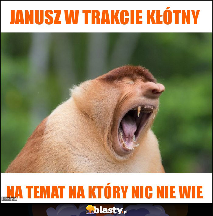 Janusz w trakcie kłótny