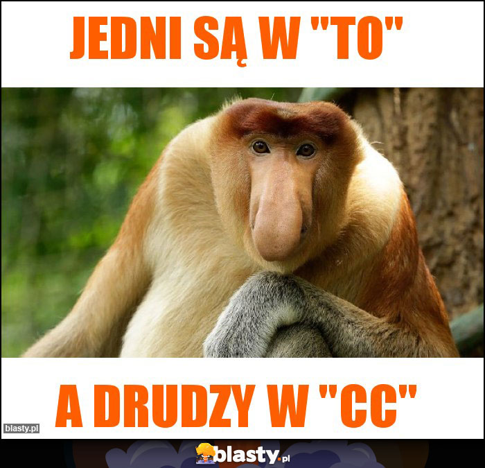 jedni są w 