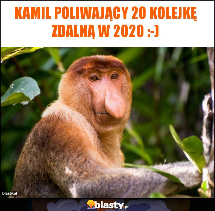 Kamil poliwający 20 kolejkę zdalną w 2020 :-)