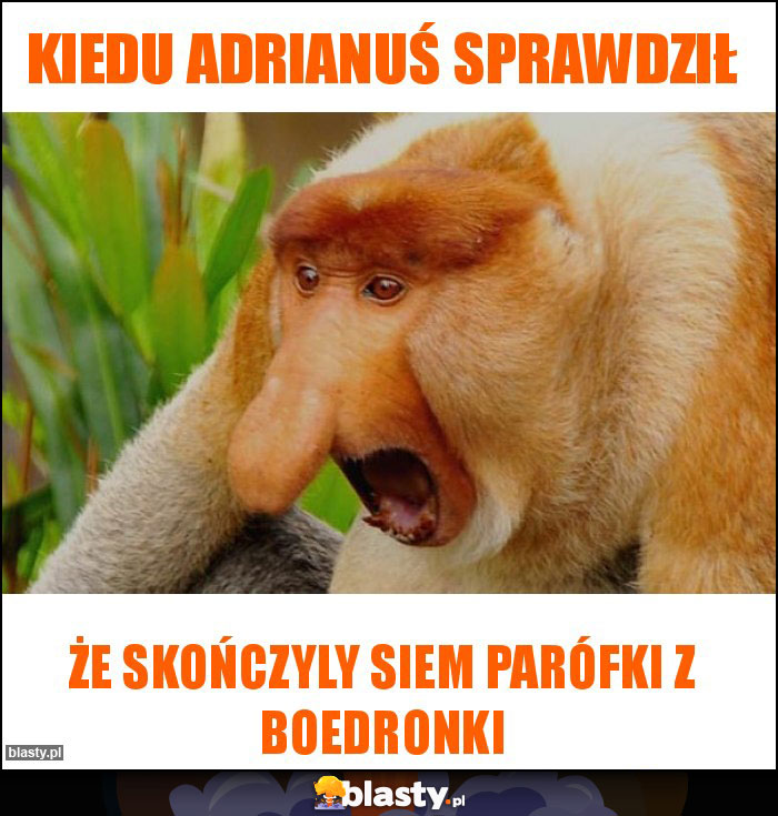 Kiedu adrianuś sprawdził