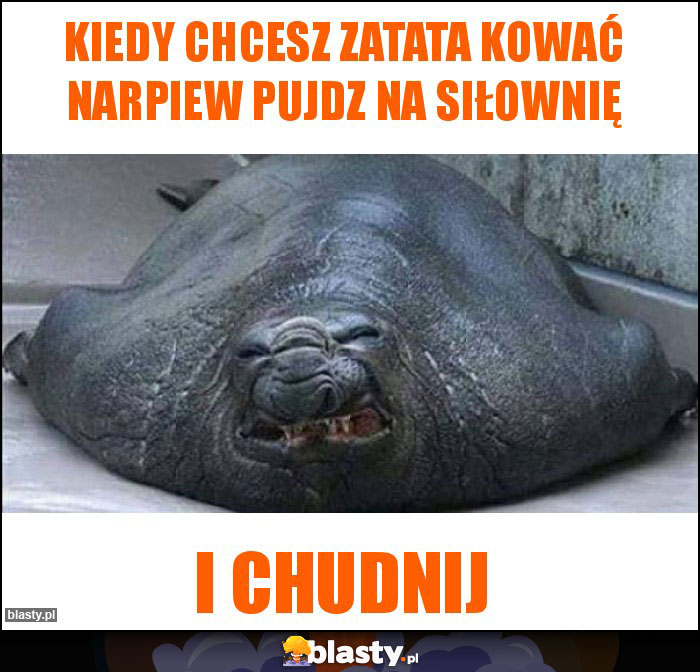 kiedy chcesz zatata kować narpiew pujdz na siłownię