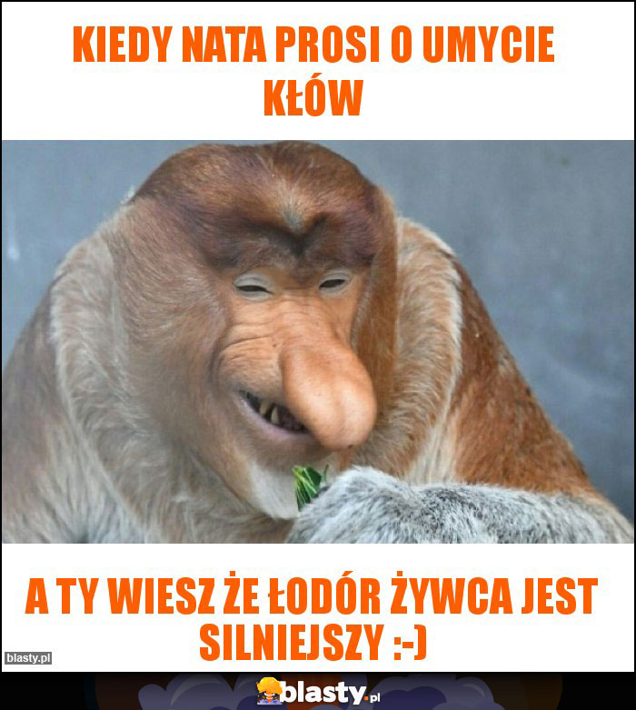 Kiedy Nata prosi o umycie kłów