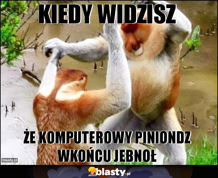 Kiedy widzisz