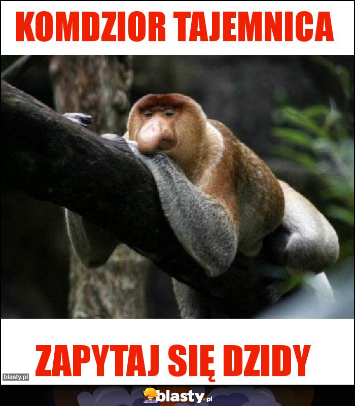 Komdzior tajemnica