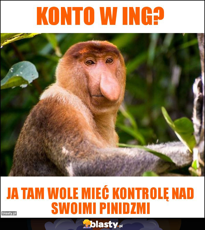 konto w ING?