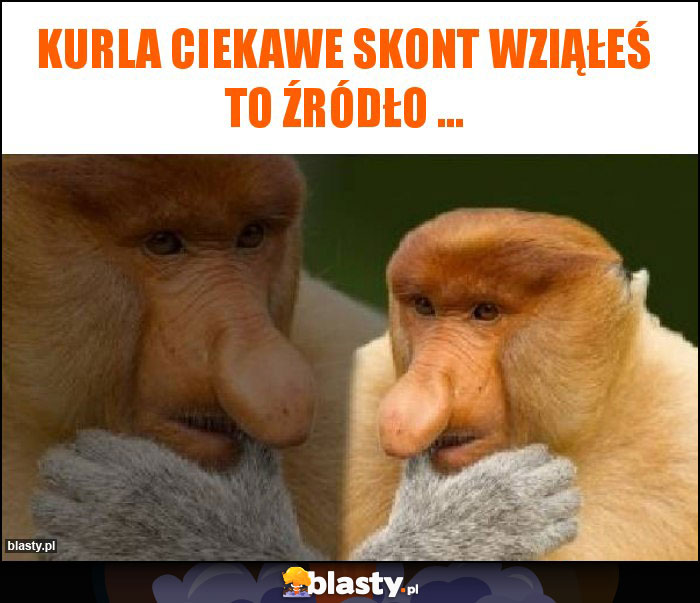 Kurla ciekawe skont wziąłeś to źródło ...