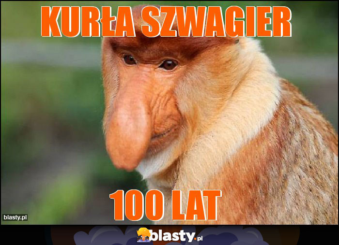 Kurła szwagier