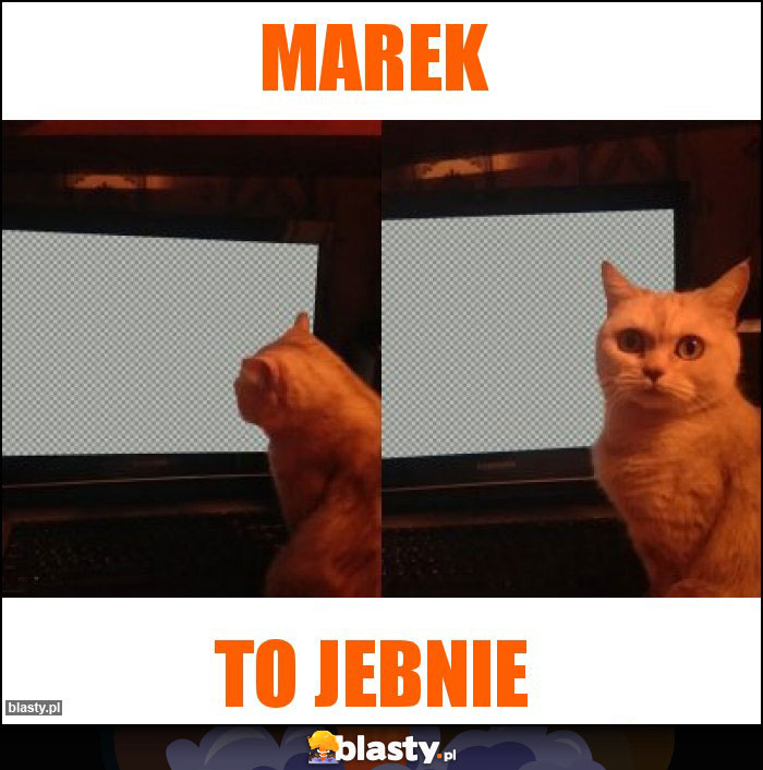 Marek