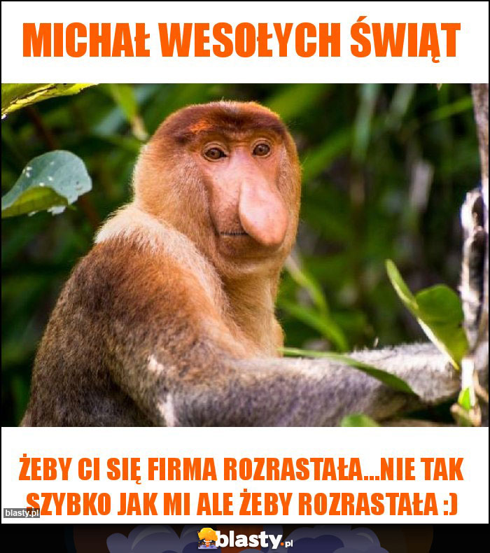 Michał Wesołych Świąt