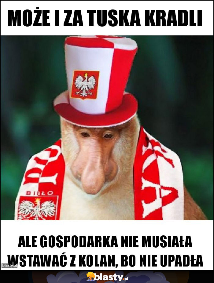 Może i za Tuska kradli