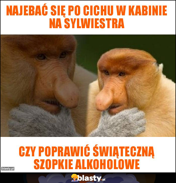 Najebać się po cichu w kabinie na sylwiestra