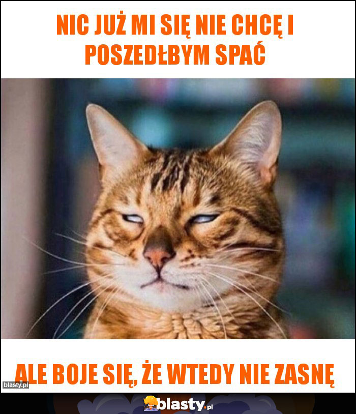 Nic już mi się nie chcę i poszedłbym spać