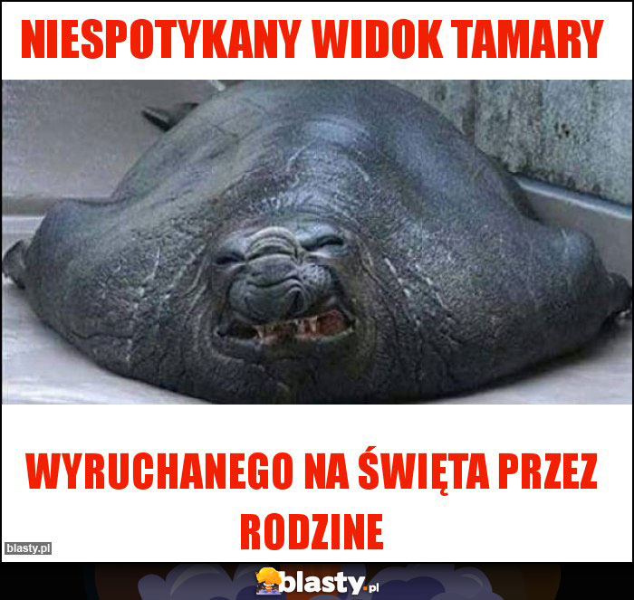 Niespotykany widok Tamary