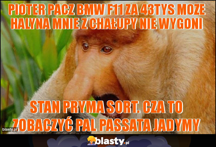 pioter pacz bmw f11 za 43tys moze halyna mnie z chałupy nie wygoni