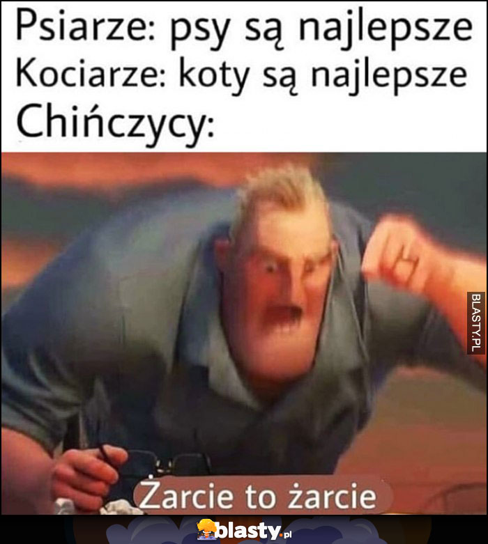 Psiarze: psy są najleprze, kociarze: koty są najlepsze, Chińczycy: żarcie to żarcie