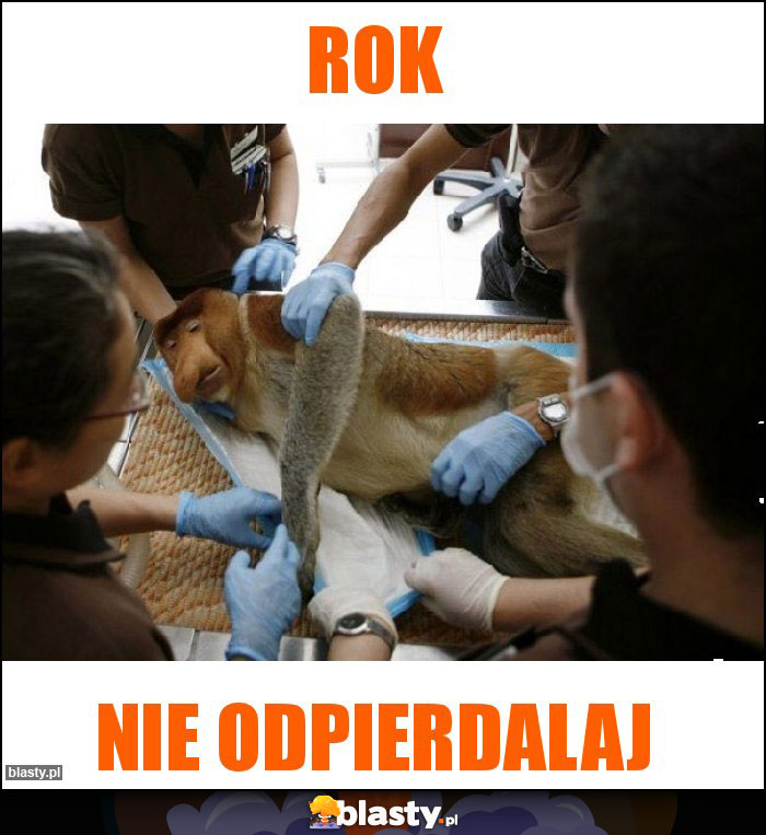 Rok