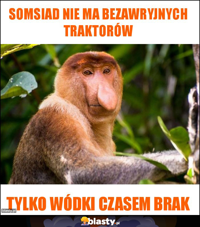 Somsiad nie ma bezawryjnych traktorów