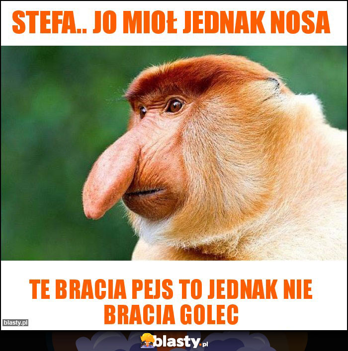 STEFA.. JO MIOŁ JEDNAK NOSA