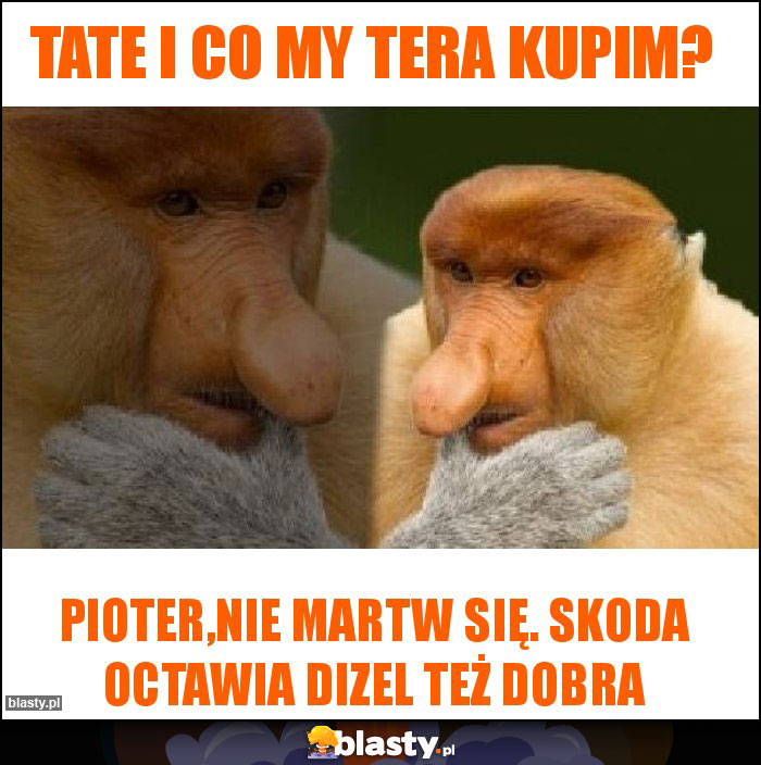 Tate i co my tera kupim?