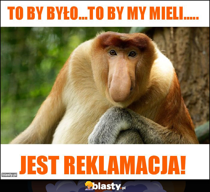 To by było...To by my mieli.....