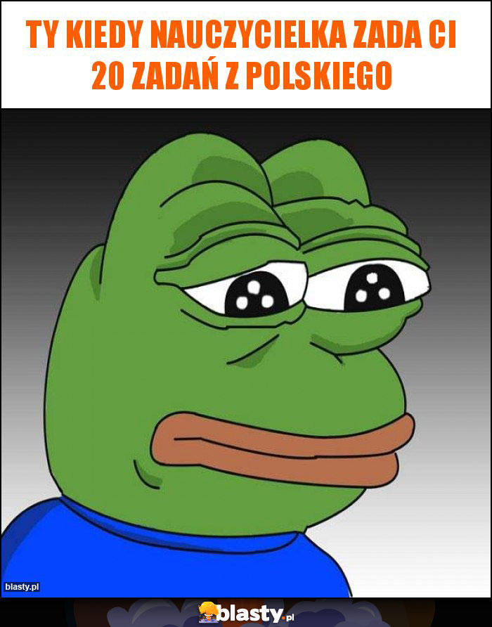 ty kiedy nauczycielka zada ci 20 zadań z polskiego