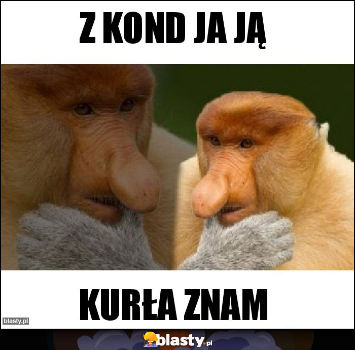 Z kond ja ją