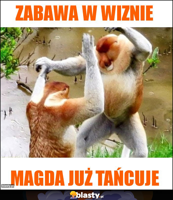 Zabawa w Wiznie