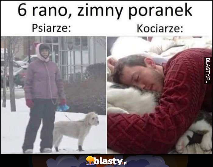 6 rano, zimny poranek psiarze na spacerze z psem, kociarze śpią