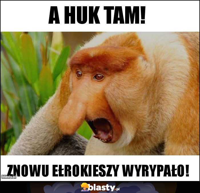 A huk tam!