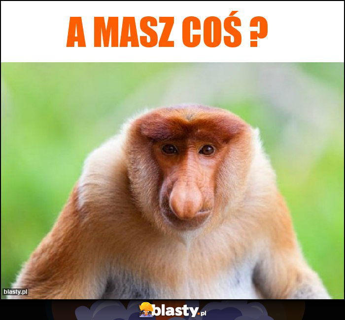 A masz coś ?