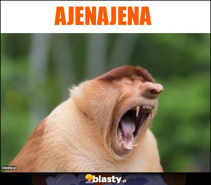 Ajenajena