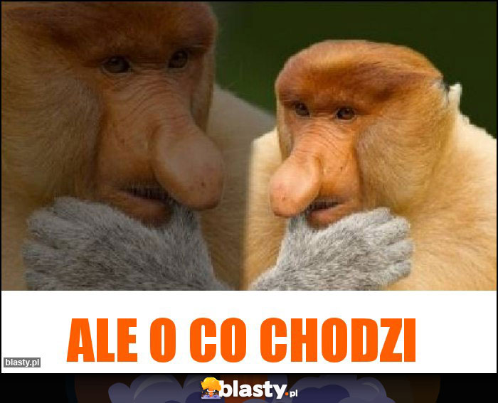 Ale o co chodzi