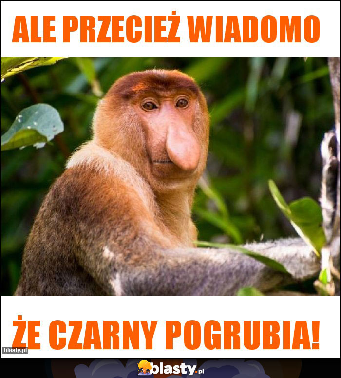 Ale przecież wiadomo