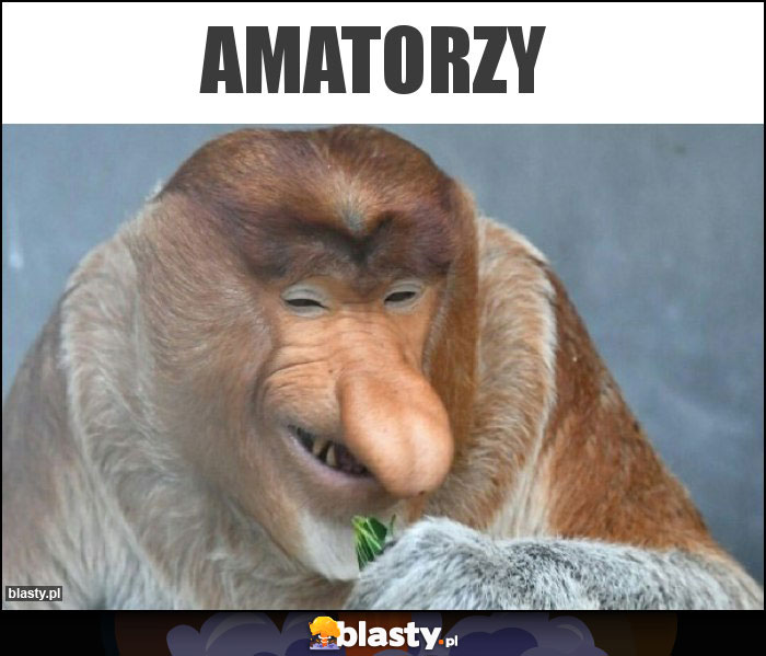 AMATORZY