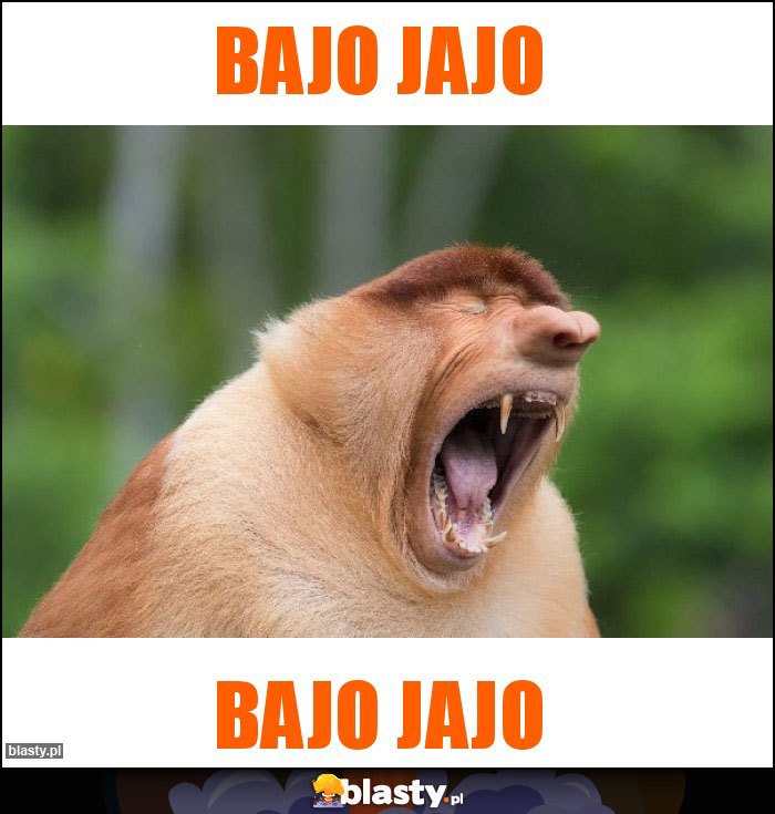 BAJO JAJO