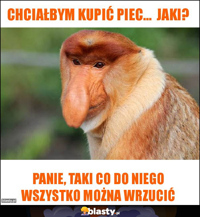 Chciałbym kupić piec...  Jaki?