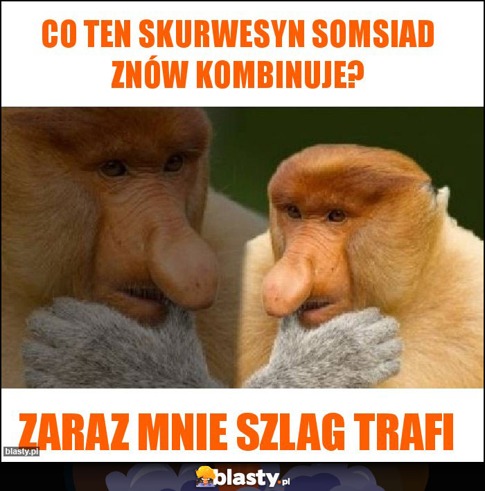 Co ten skurwesyn somsiad znów kombinuje?