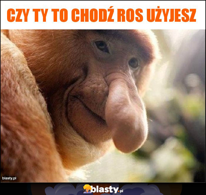 czy ty to chodź ros użyjesz