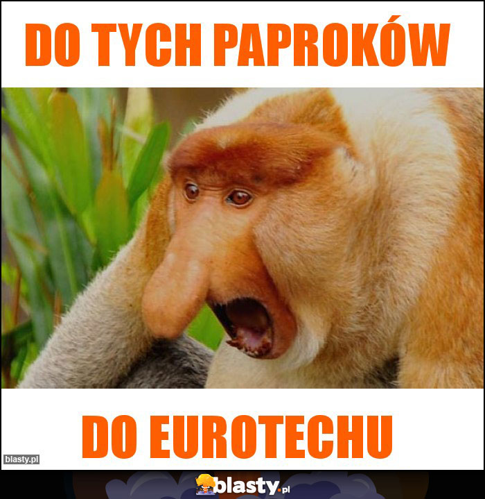 Do tych paproków