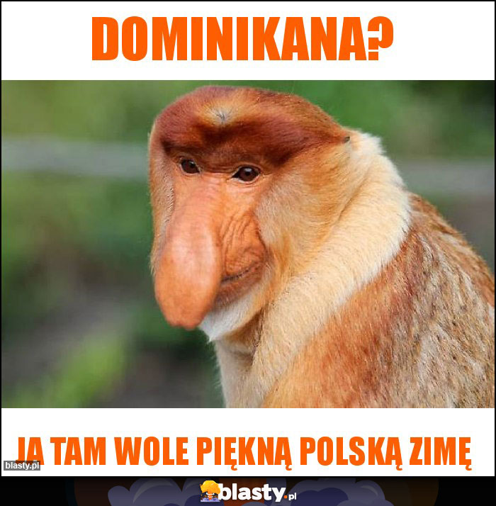 DOMINIKANA?