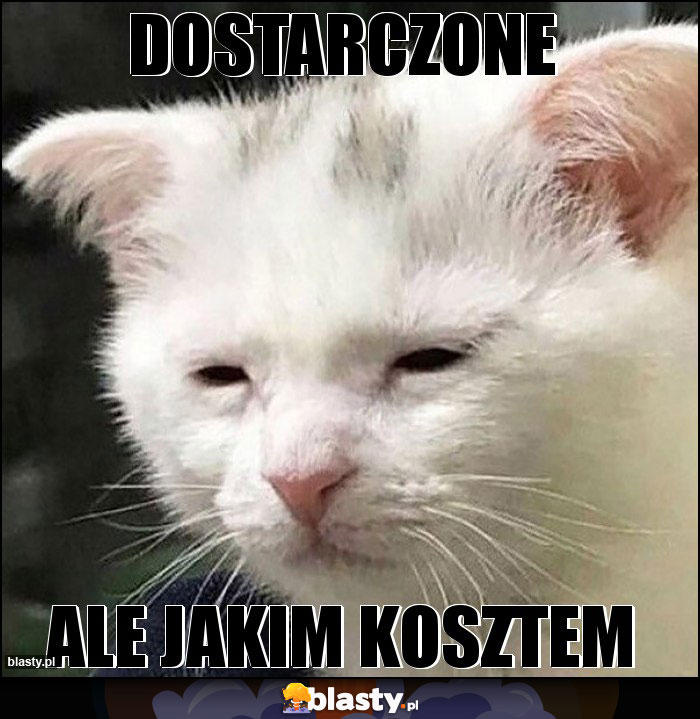 Dostarczone