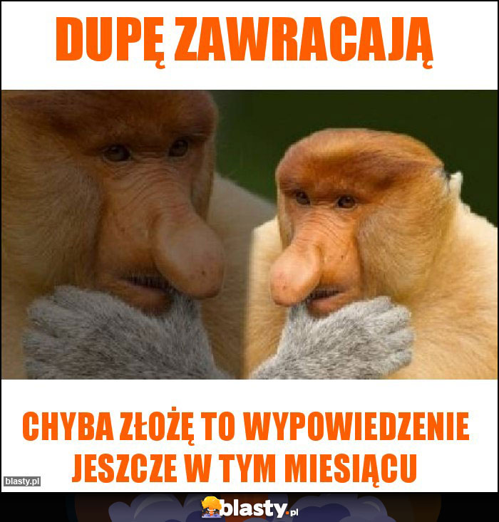 Dupę zawracają