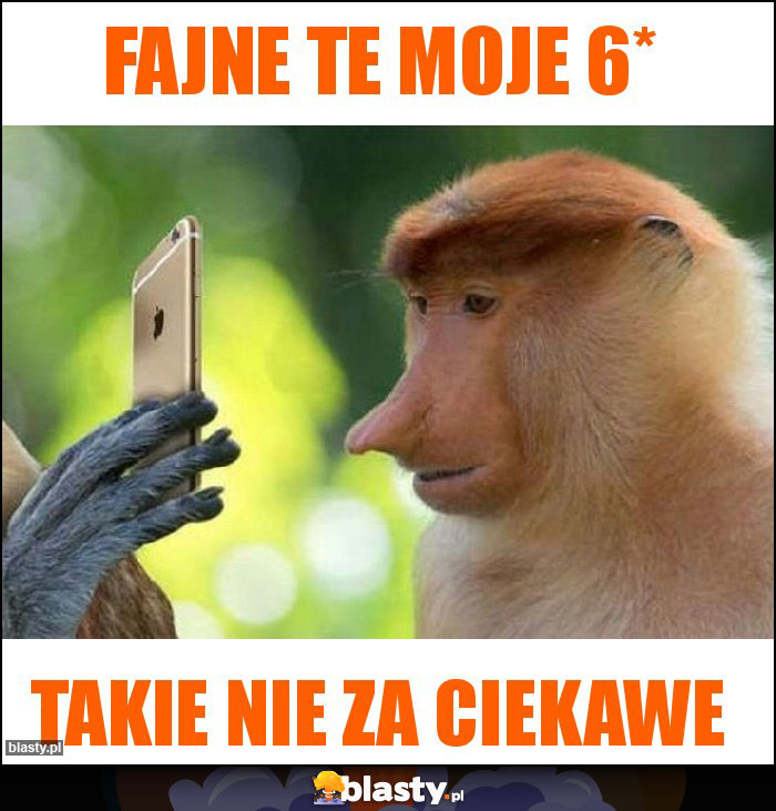 Fajne te moje 6*